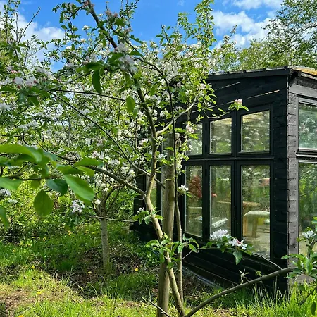 Thatched Between Tisvilde And Liseleje * Frederiksværk